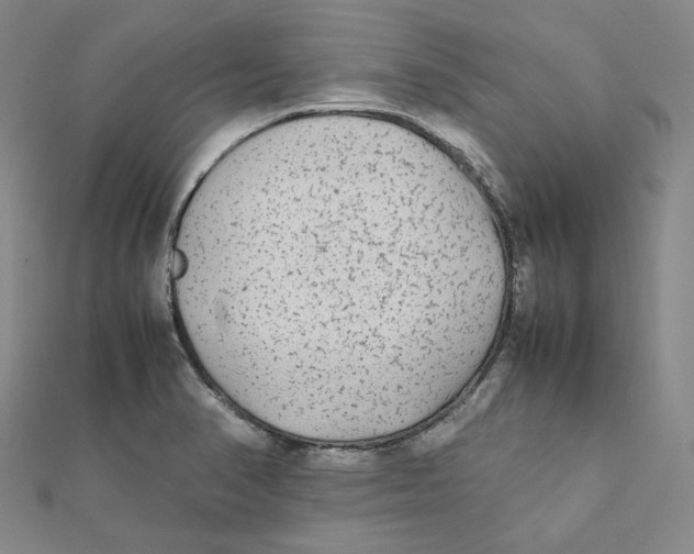 X0000112071374200909011014