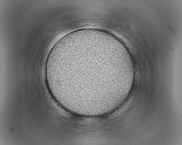 X0000112071375200909011014