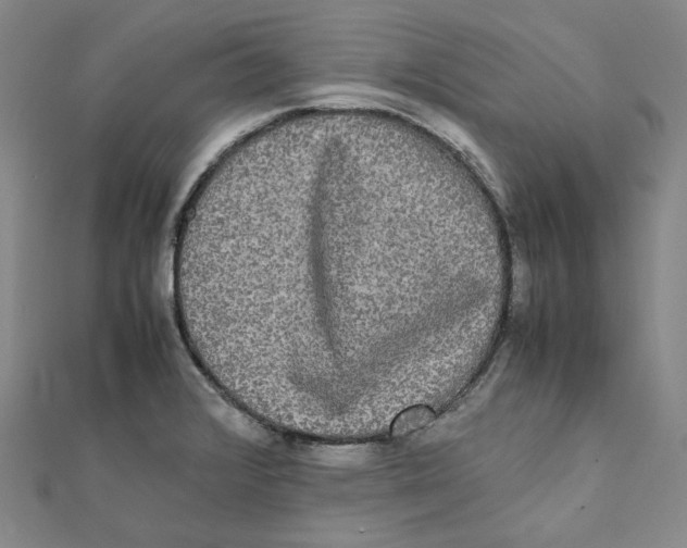 X0000112071376200909011014