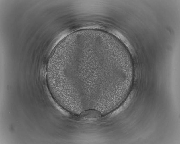 X0000112071377200909011014