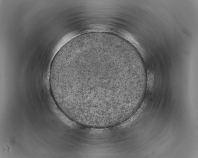X0000112071378200909011014