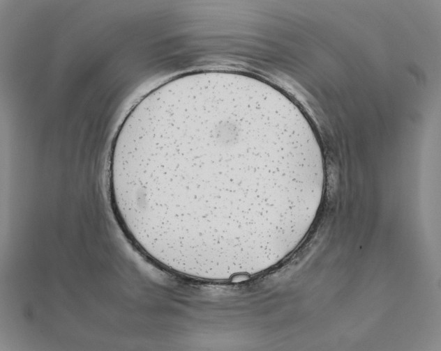 X0000112071379200909011014