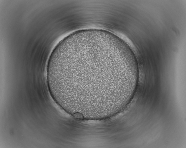 X0000112071380200909011014