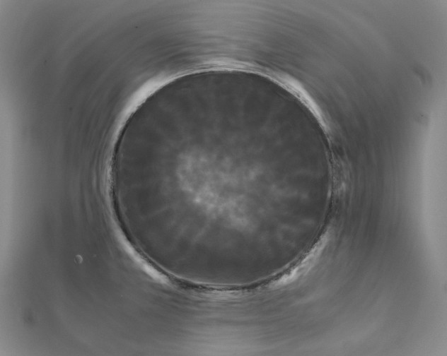 X0000112071381200909011014