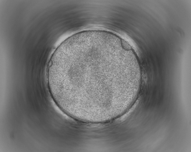 X0000112071382200909011014