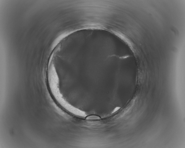 X0000112071383200909011014