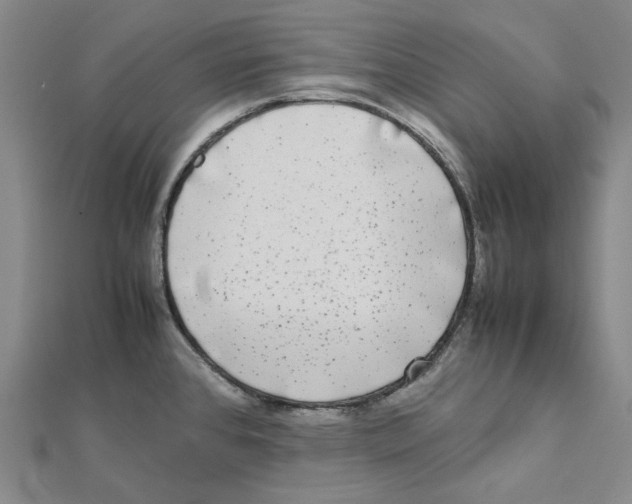 X0000112071384200909011014