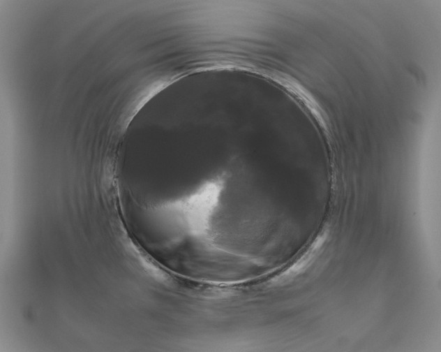 X0000112071385200909011014