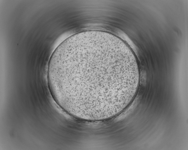 X0000112071386200909011014