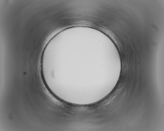 X0000112071387200909011014