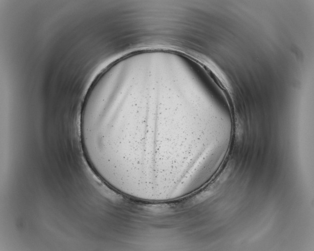 X0000112071388200909011014