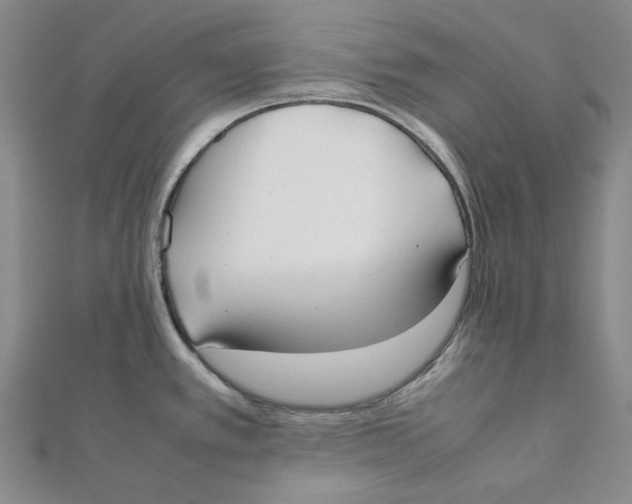X0000112071389200909011014