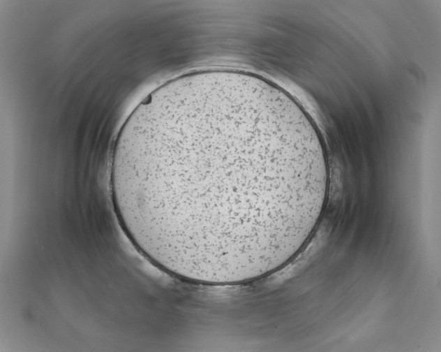 X0000112071390200909011014