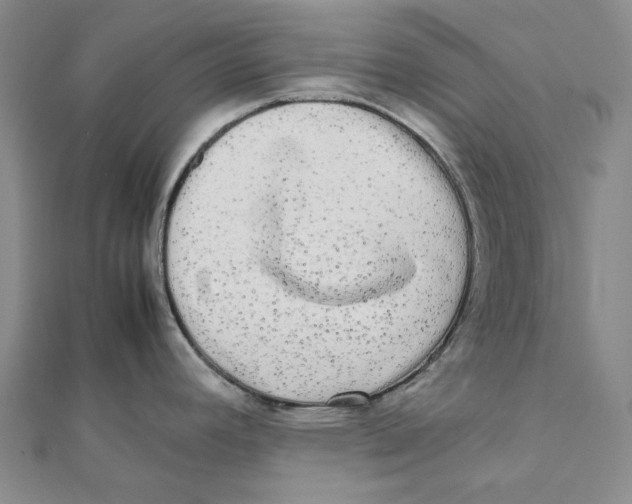 X0000112071392200909011014