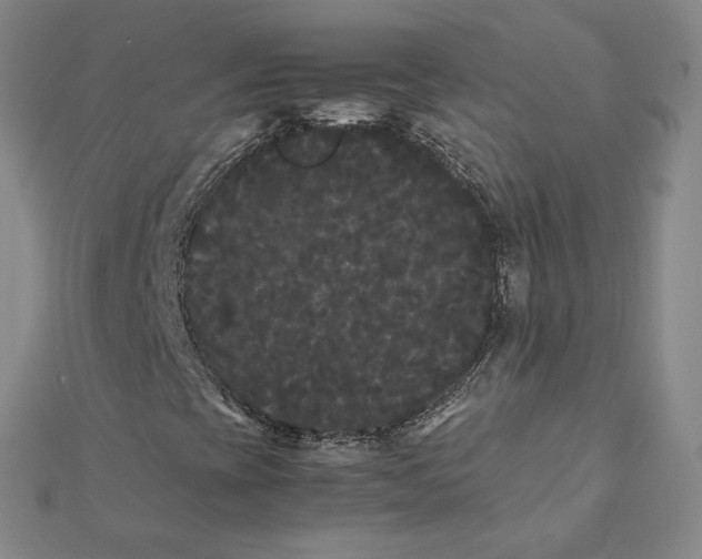 X0000112071393200909011013