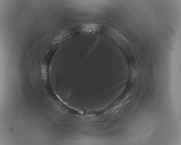 X0000112071394200909011013