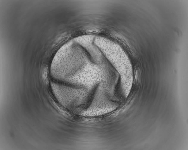 X0000112071396200909011013