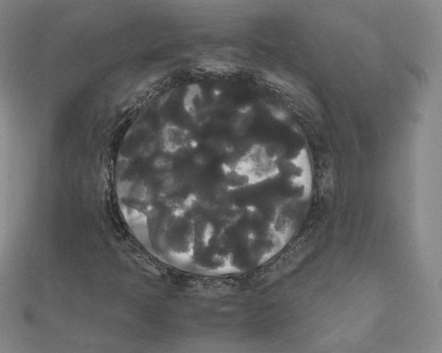 X0000112071397200909011013