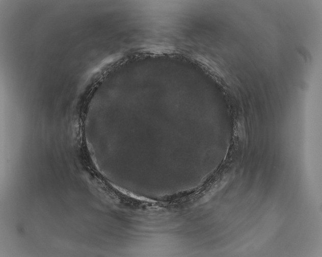 X0000112071398200909011013