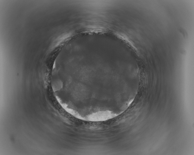X0000112071399200909011013