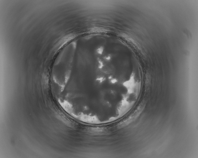 X0000112071401200909011013