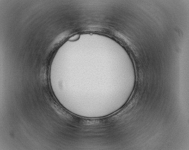 X0000112071403200909011013