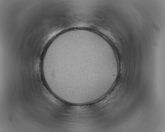 X0000112071404200909011013