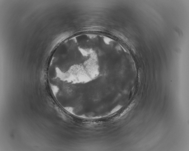 X0000112071405200909011013