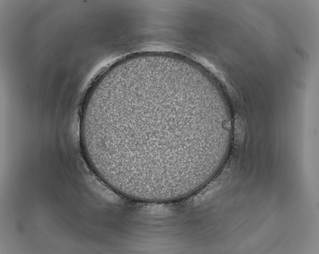 X0000112071408200909011013