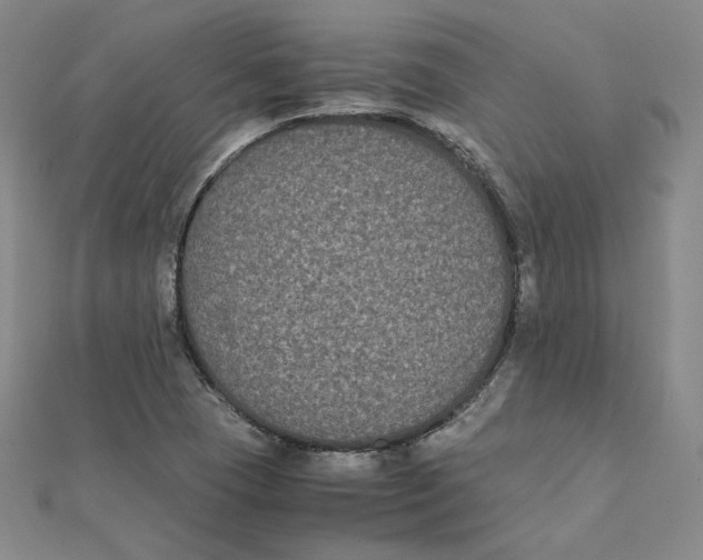 X0000112071409200909011013
