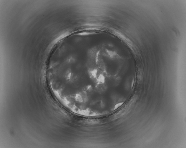 X0000112071411200909011013