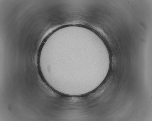 X0000112071412200909011013