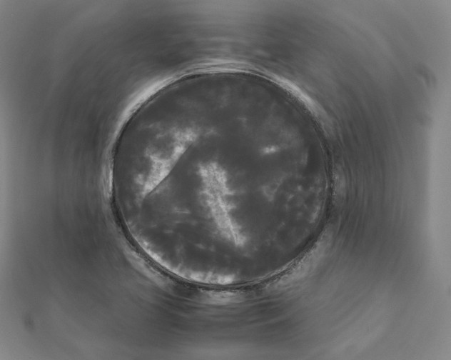 X0000112071413200909011013
