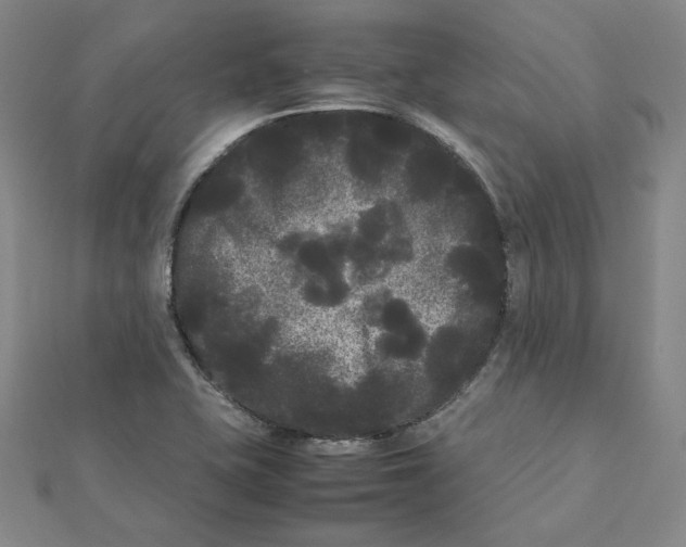 X0000112071415200909011013