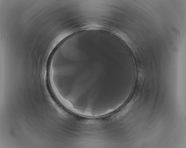 X0000112071418200909011013