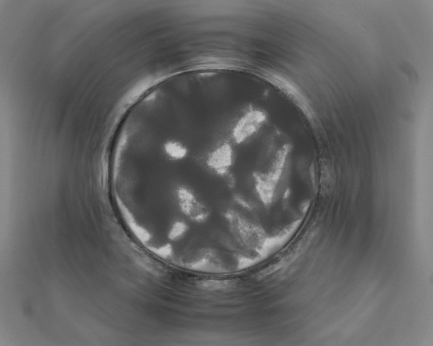 X0000112071419200909011013