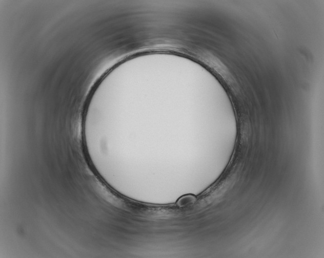X0000112071420200909011013