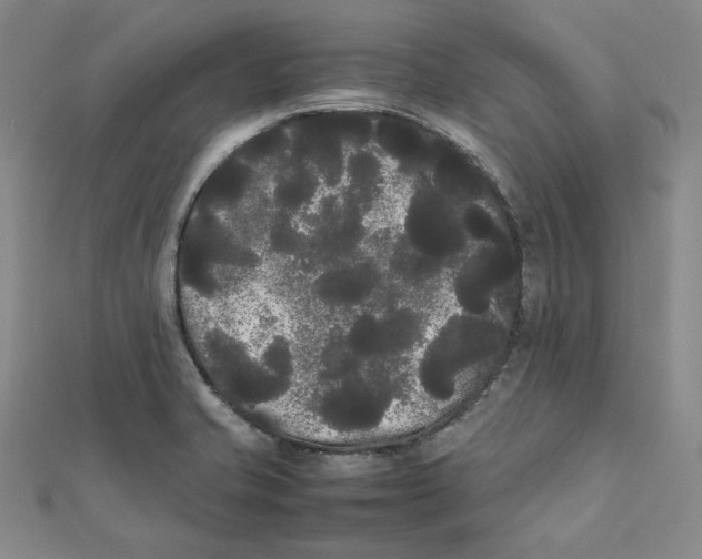 X0000112071421200909011013