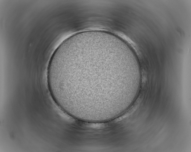 X0000112071423200909011013