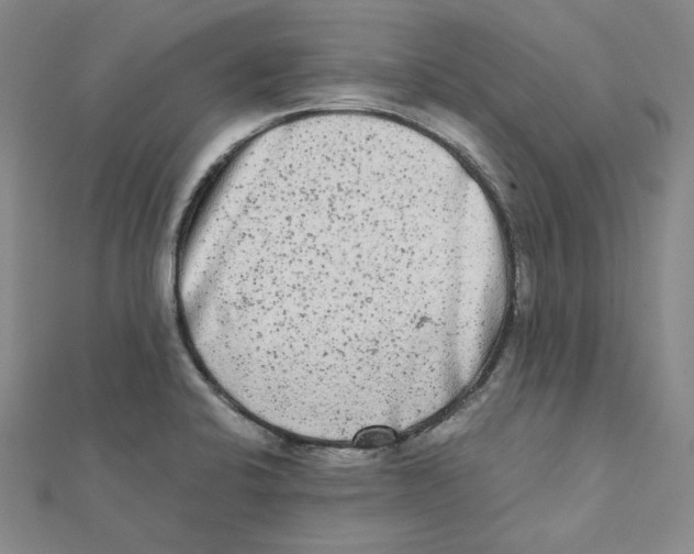 X0000112071424200909011014
