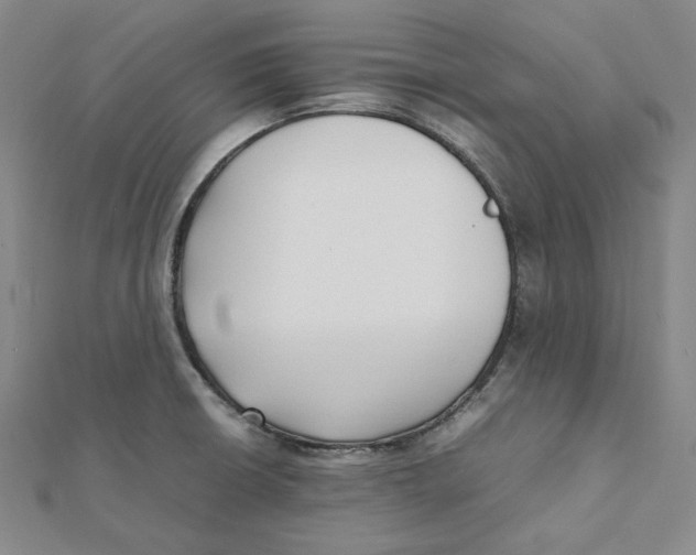 X0000112071426200909011014