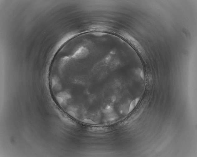 X0000112071427200909011014