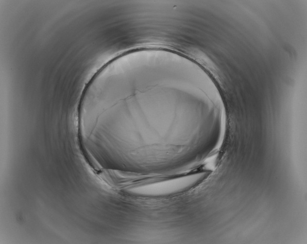 X0000112071428200909011014