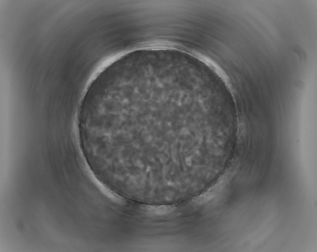 X0000112071429200909011014