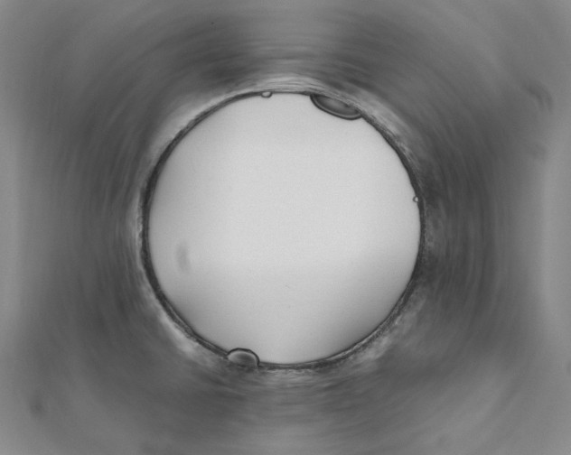 X0000112071430200909011014