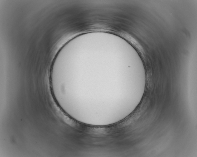 X0000112071431200909011014