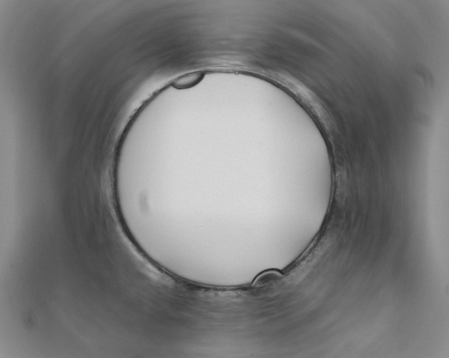 X0000112071432200909011014