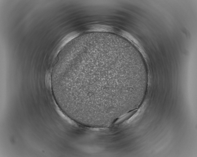 X0000112071433200909011014