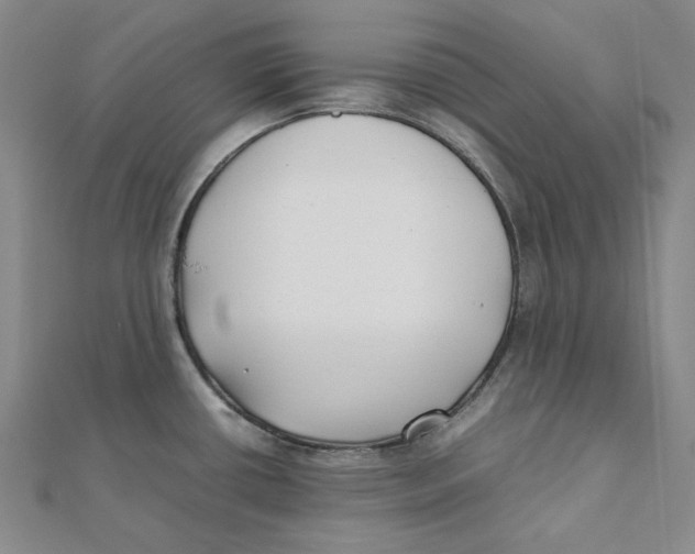 X0000112071434200909011014
