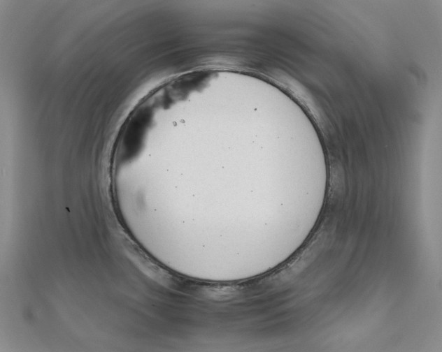 X0000112071435200909011014